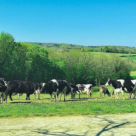 « Le Vieux Hangar » Gite A La Ferme Le Buisson-de-Cadouin 외부 사진