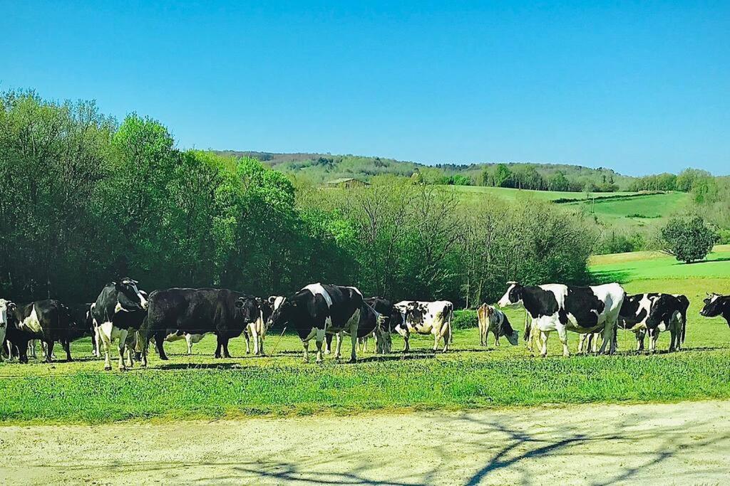 « Le Vieux Hangar » Gite A La Ferme Le Buisson-de-Cadouin 외부 사진