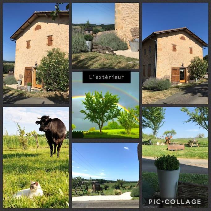 « Le Vieux Hangar » Gite A La Ferme Le Buisson-de-Cadouin 외부 사진